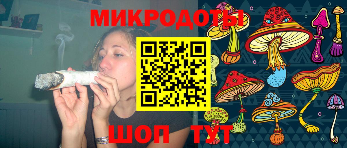 Псилоцибиновые грибы Cubensis Великий Устюг